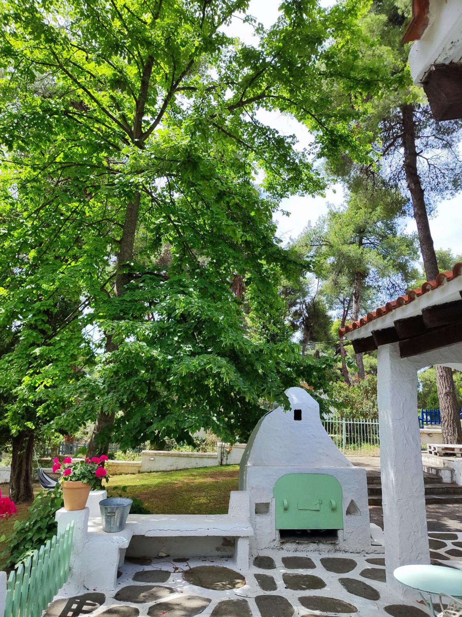 Villa Nefeli Sani  エクステリア 写真